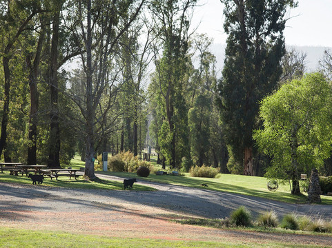 萨拉丁住宿加早餐旅馆主图