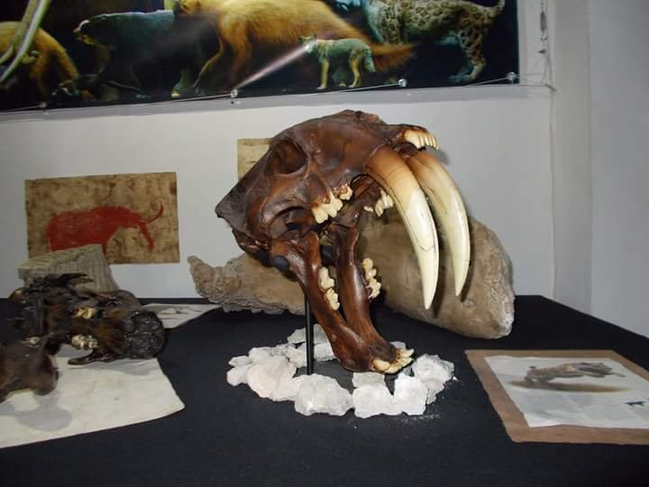 Museo de la Prehistoria Parque Dos Ojos-图伦必去景点