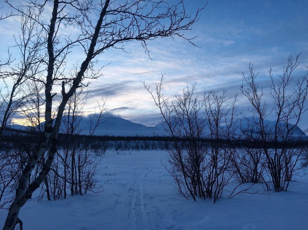 Abisko Guide - Day Tours-阿比斯库必去景点
