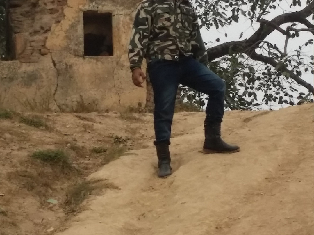 Shahi Qila-江布尔必去景点