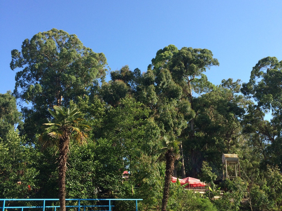 Hot Springs-Gudaut'a必去景点