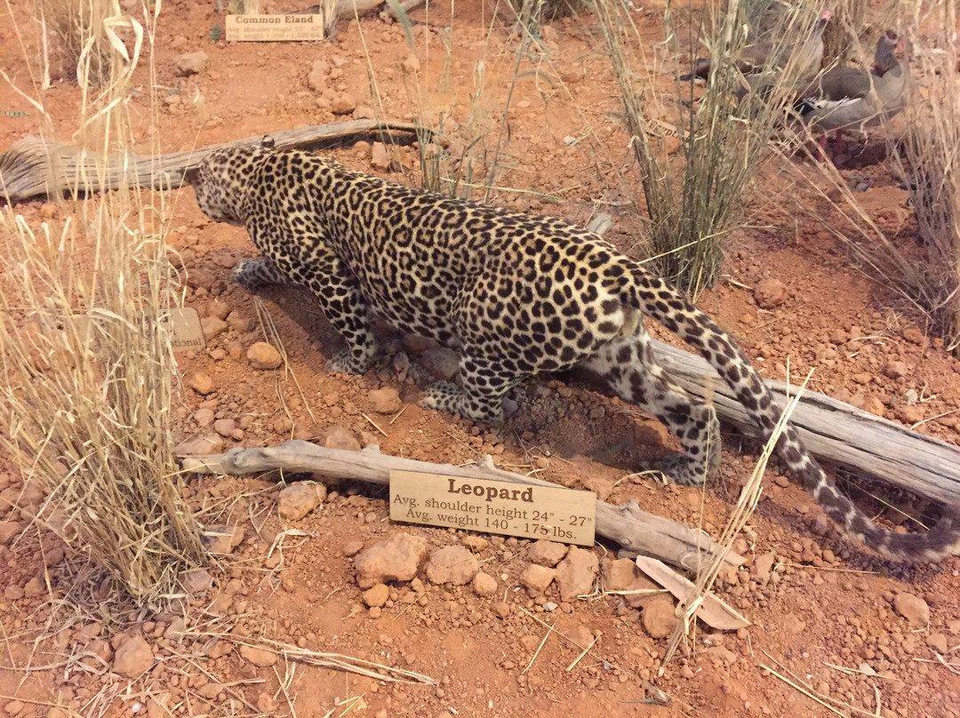 Cabela's-沃思堡必去景点