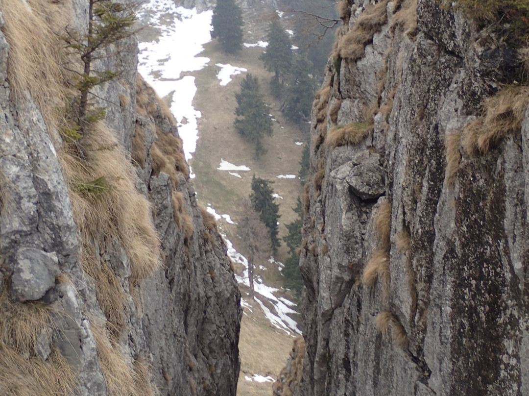 Alpine Adventure Romania景点图片