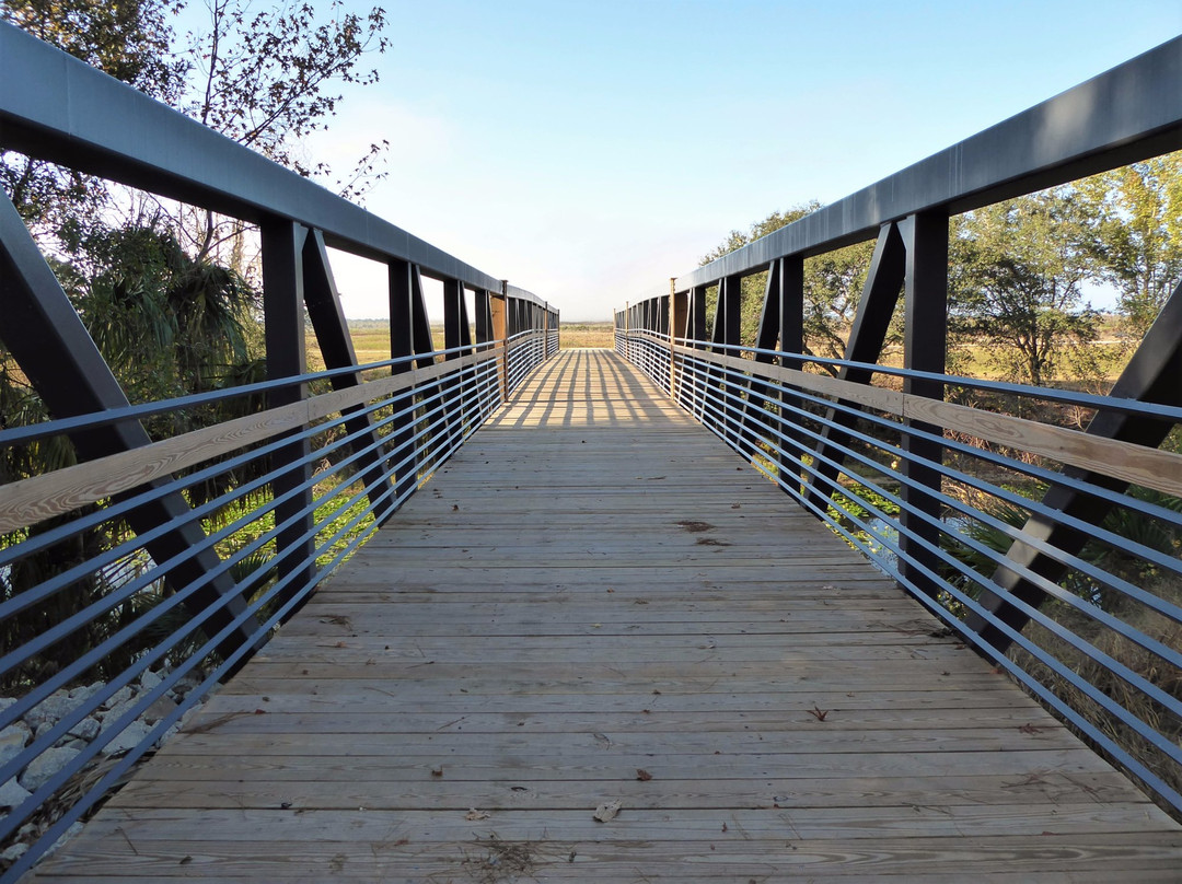 Ocklawaha Prairie Restoration Area景点图片