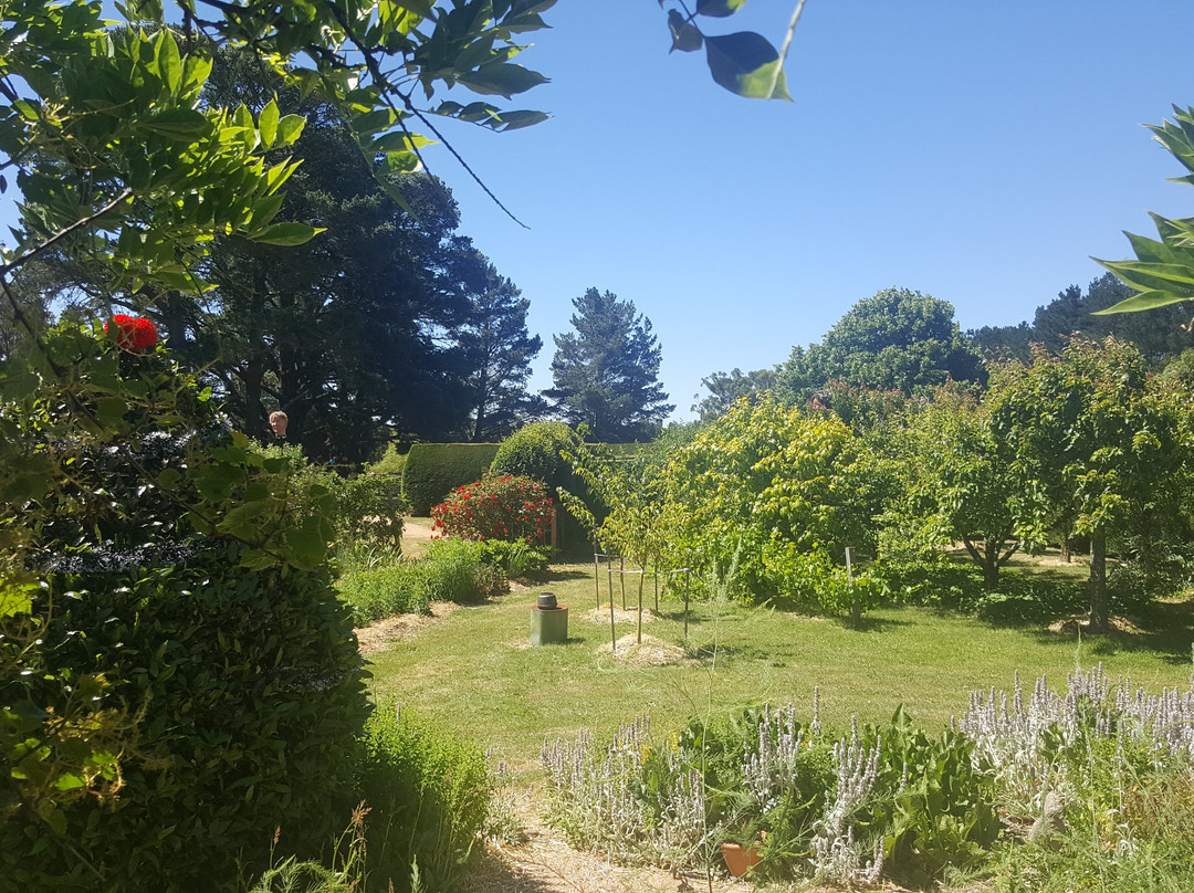 Maze House-Newlyn必去景点