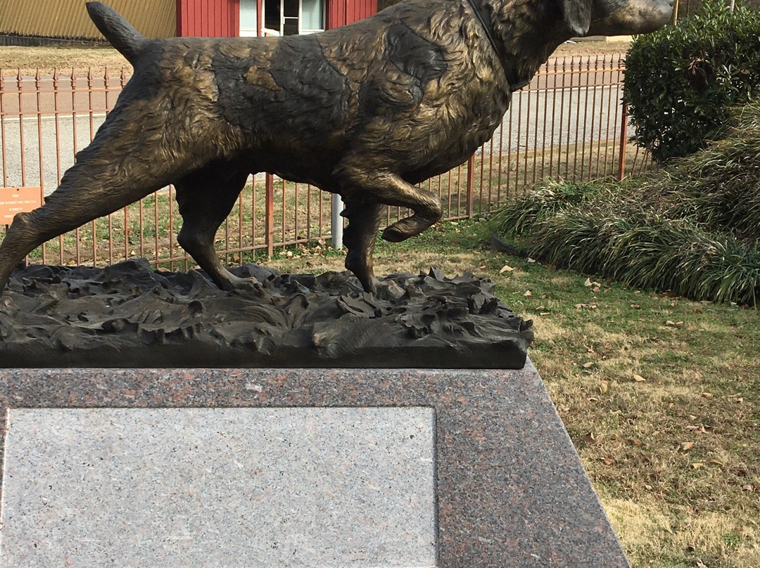 National Bird Dog Museum景点图片