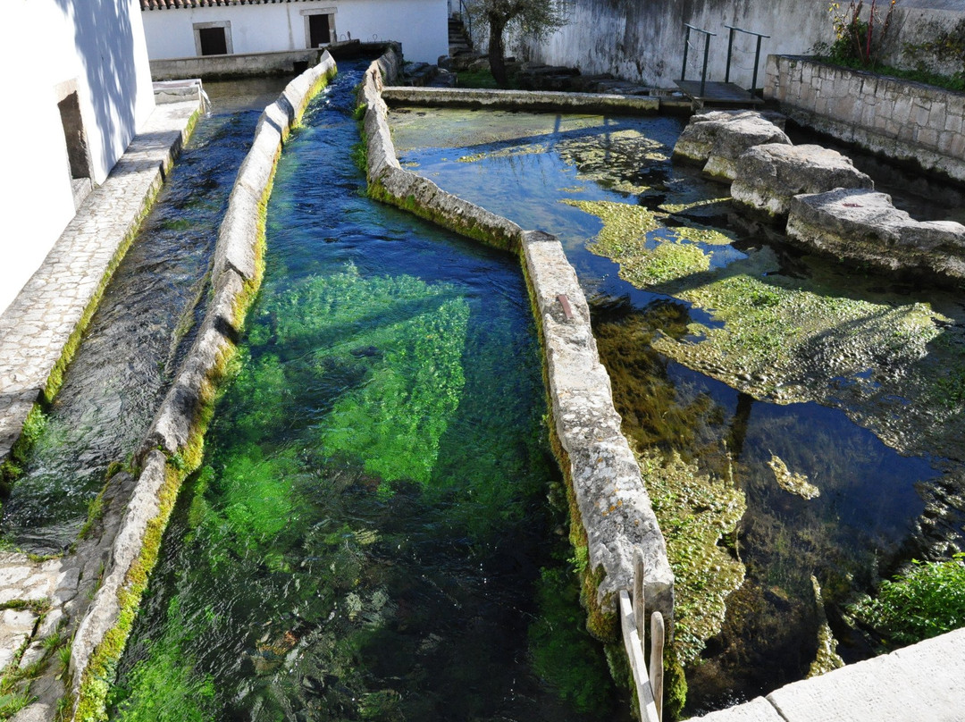 Piscina Natural de Ançã景点图片