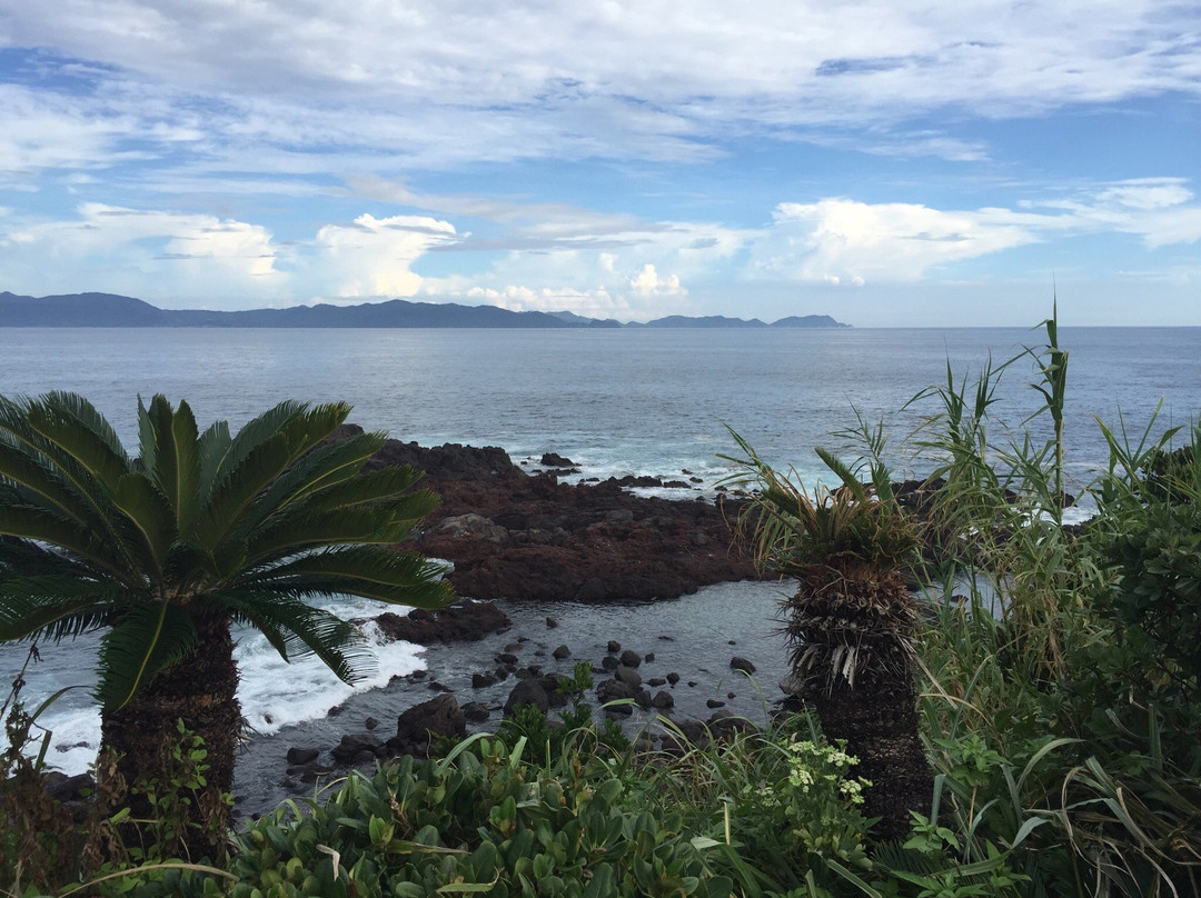 Nagasakibana Park-市来串木野市必去景点