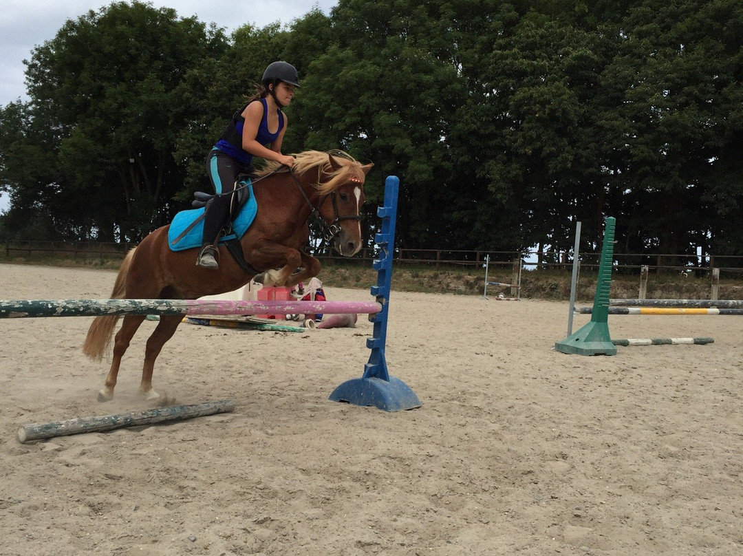 Centre Equestre des Douets Fleuris-康卡勒必去景点