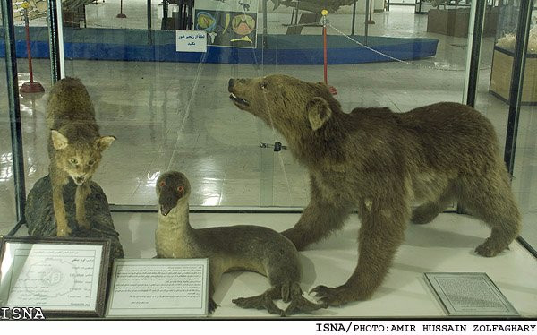 Natural History and Technology Museum of Shiraz-Shiraz必去景点