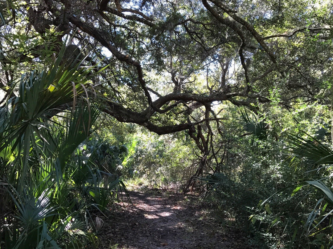 Crystal River Preserve State Park Eco-Walk-克里斯特尔里弗必去景点