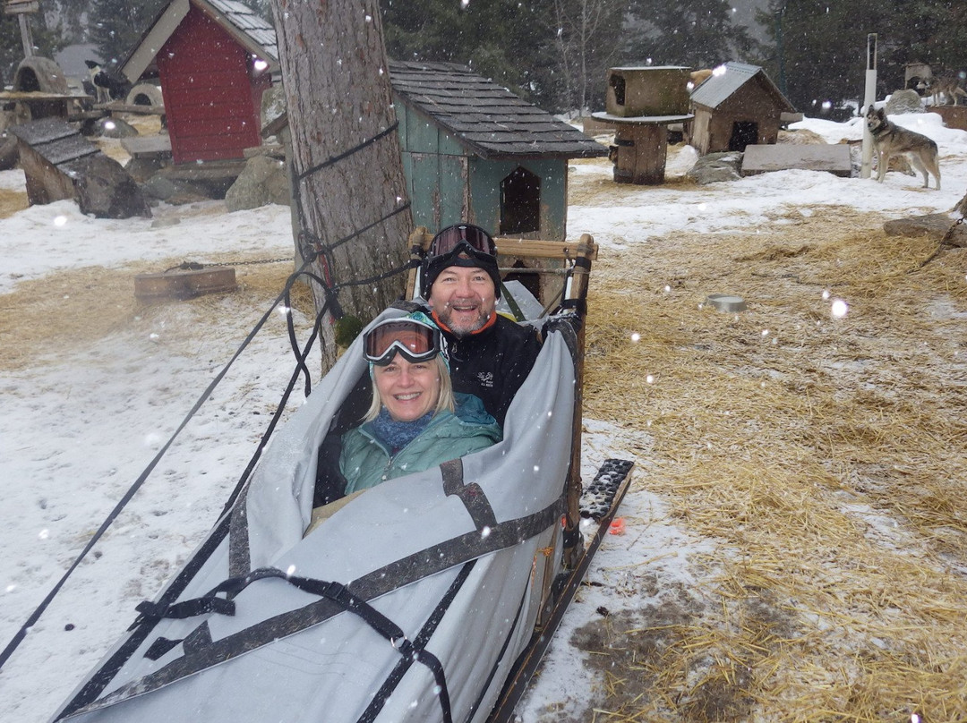 Dog Sled Adventures-Olney必去景点