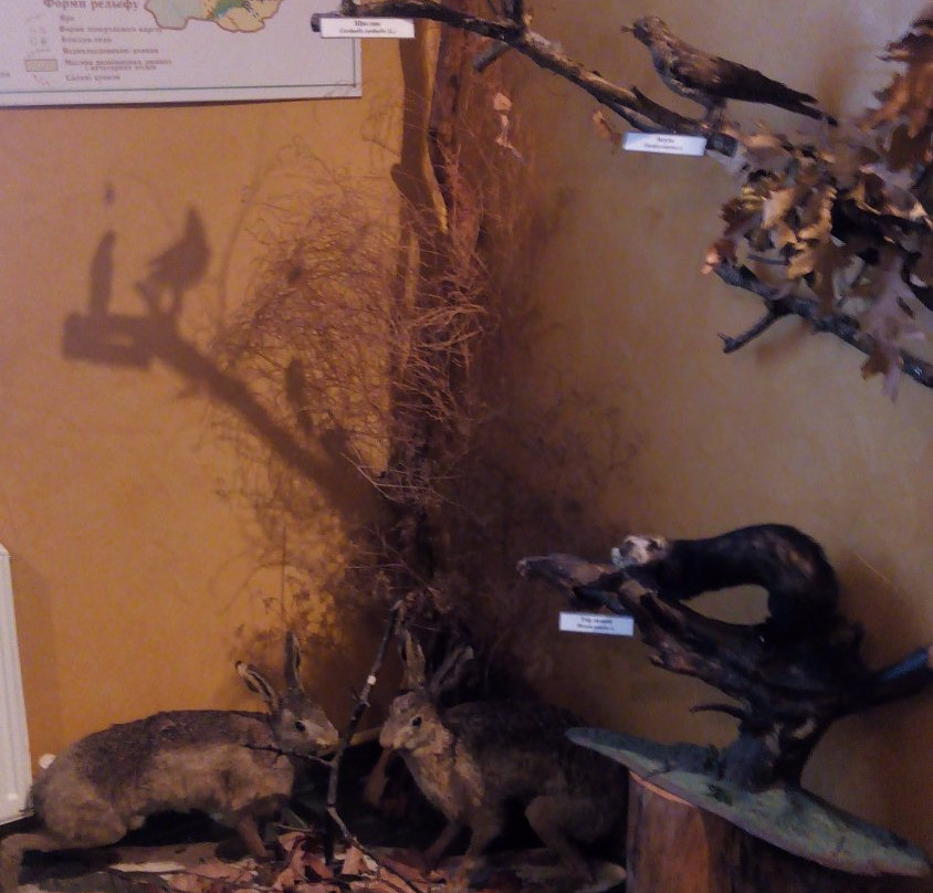 Local Lore Museum of Maslov-Pryluky必去景点