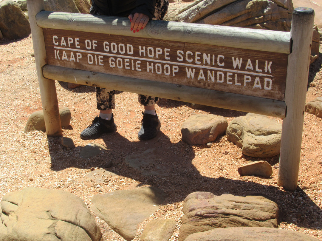 Stobers Tours-Cape Point必去景点