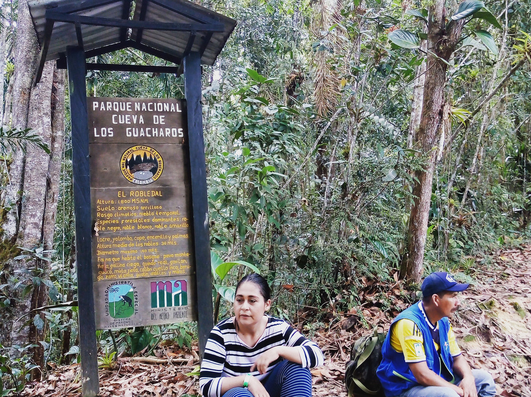 Parque Nacional Natural Cueva de los Guacharos景点图片