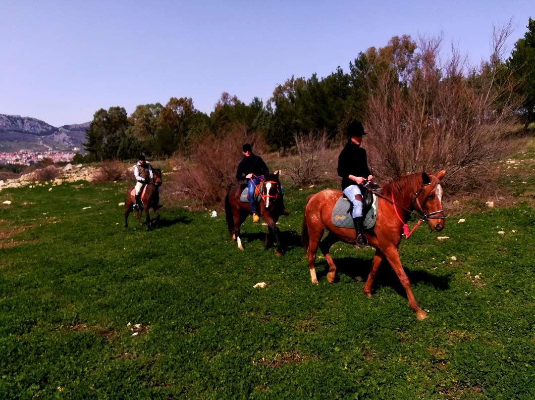 Maneggio Equiranch-Piana degli Albanesi必去景点