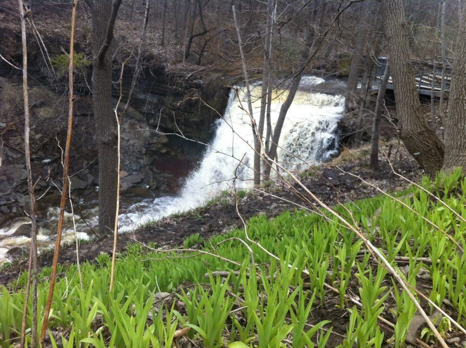 Great Falls-Waterdown必去景点