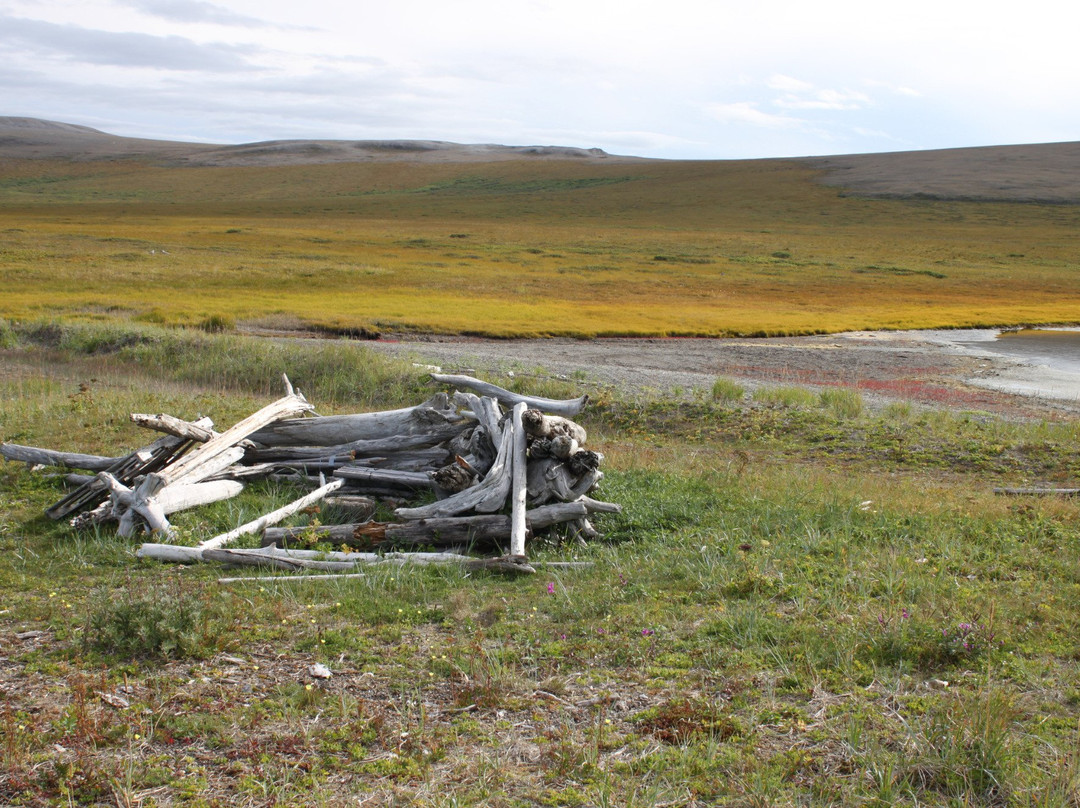 Cape Krusenstern National Monument-Kotzebue必去景点