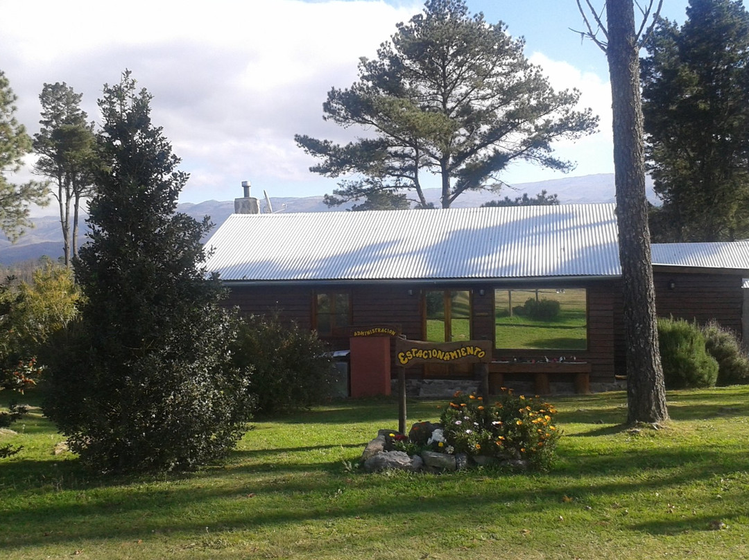 Altos Del Bosque