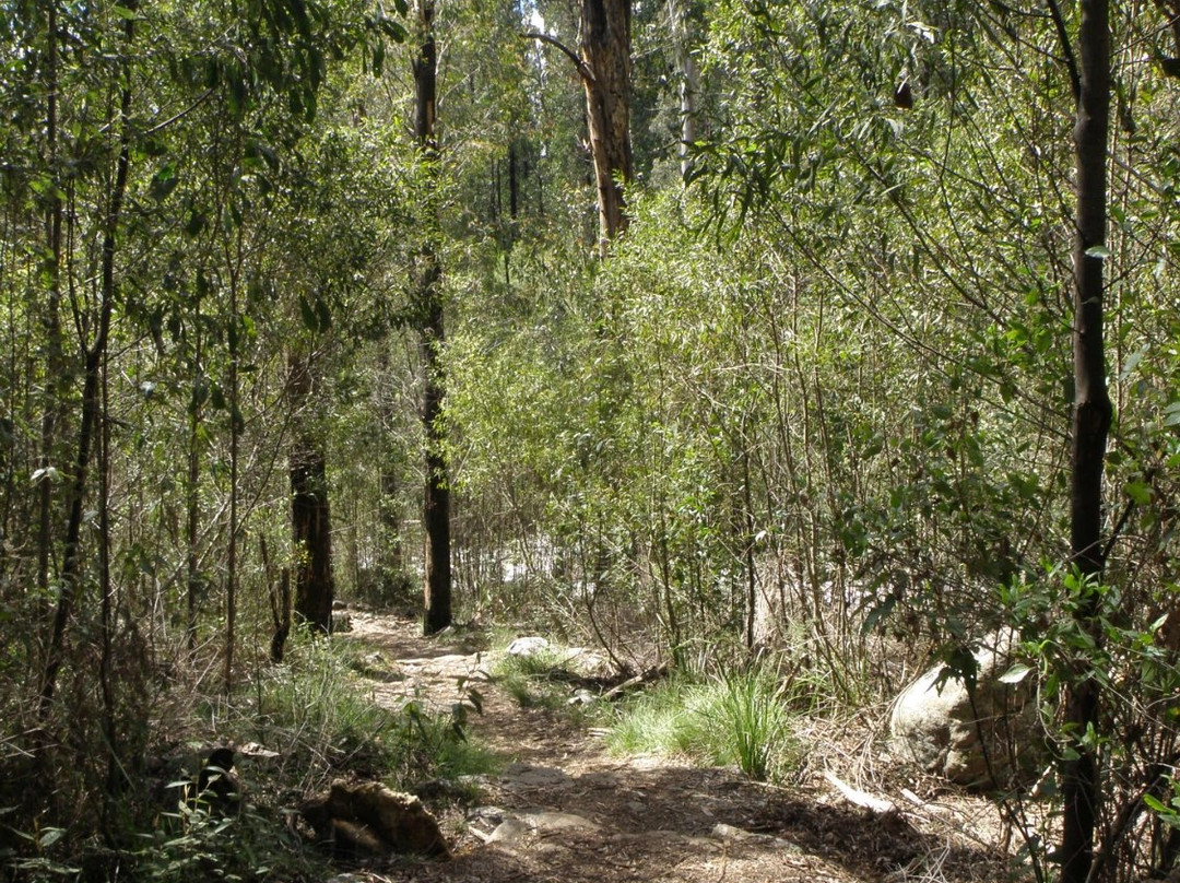 Murrindindi Scenic Reserve景点图片