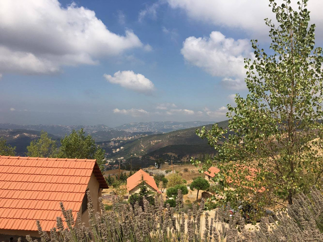 Soha Village Resort主图