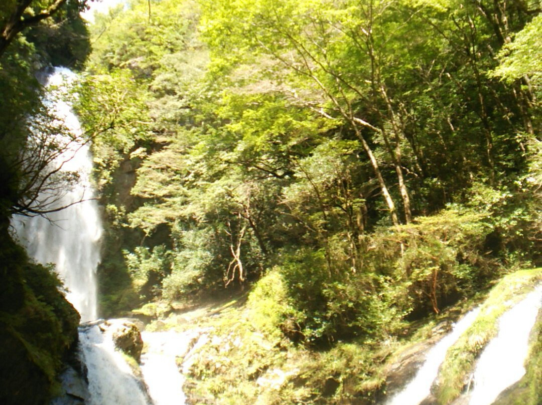 Tatsugaiwa Water Fall景点图片