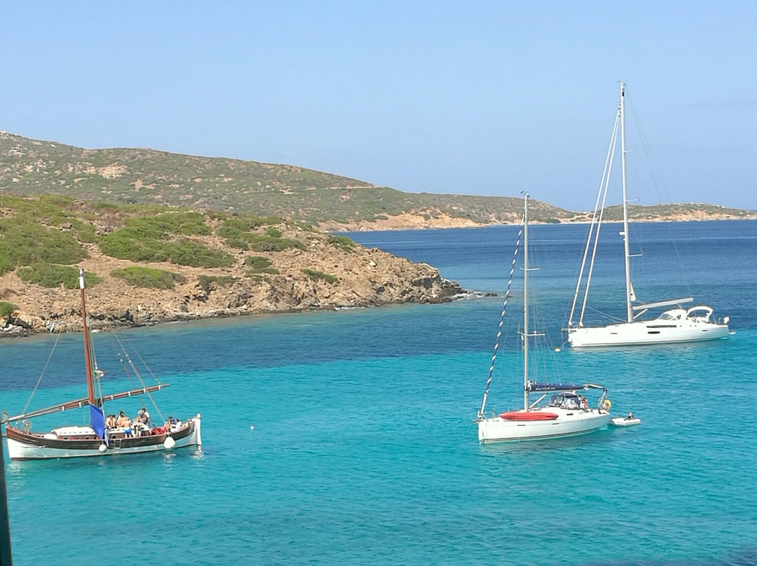 Mare & Natura - Tour Parco dell'Asinara-斯廷蒂诺必去景点