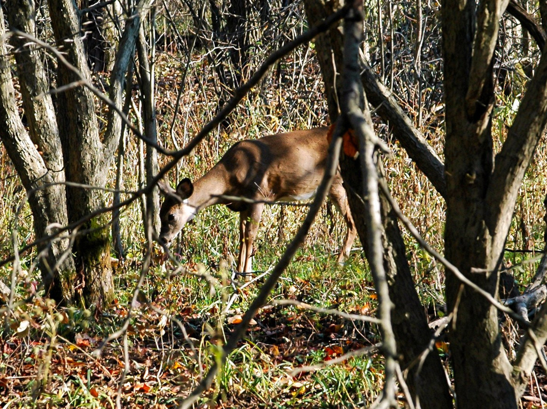 Lagrange旅游攻略图片