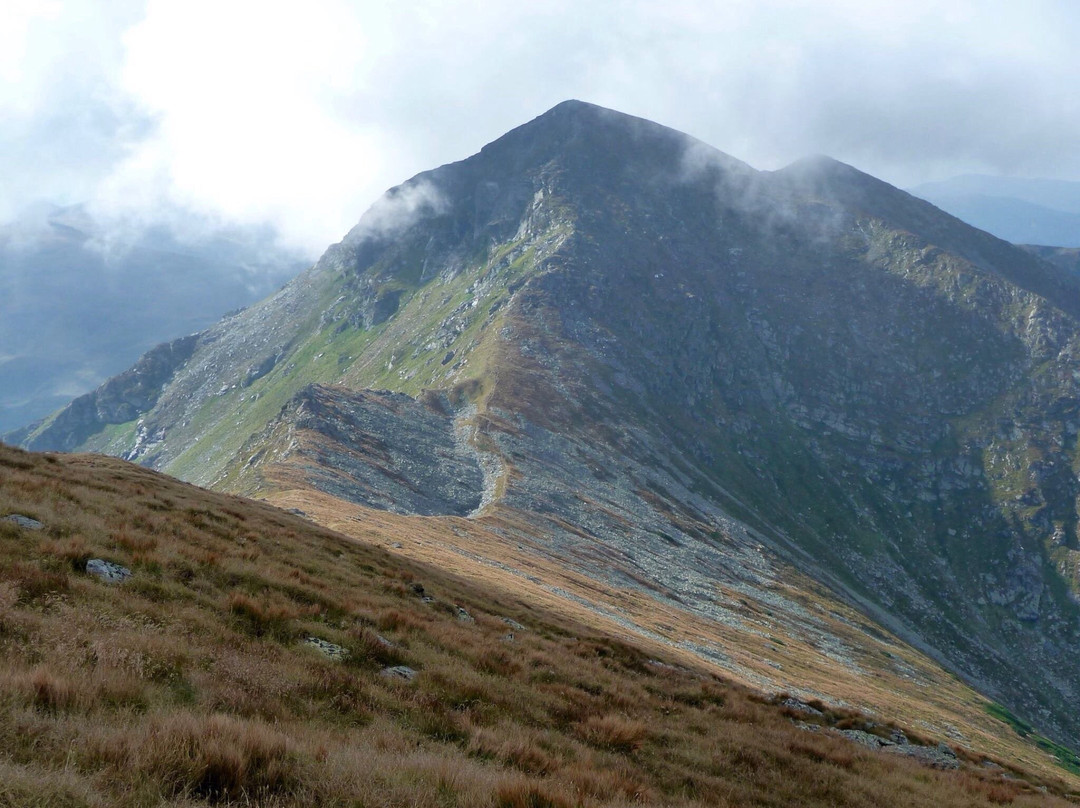 Pietrosul Rodnei Peak-Borsa必去景点