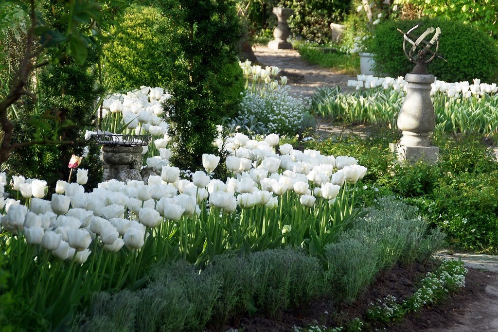 Theme Gardens Hortulus景点图片