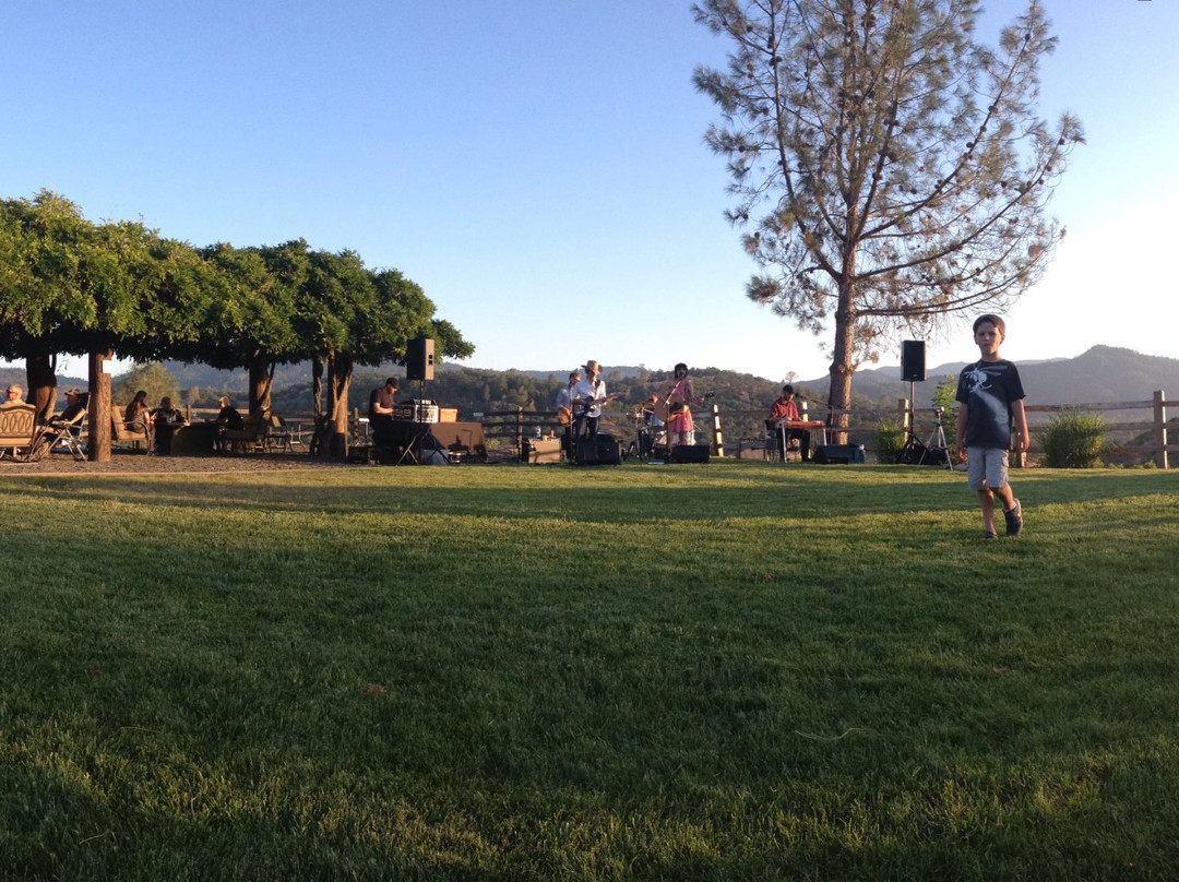 Langtry Farms Vineyard & Winery景点图片