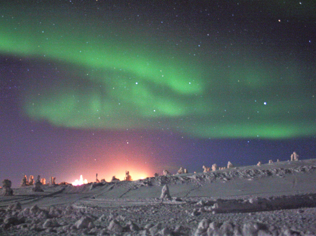 Lapland's Nature Experience-Kongas必去景点