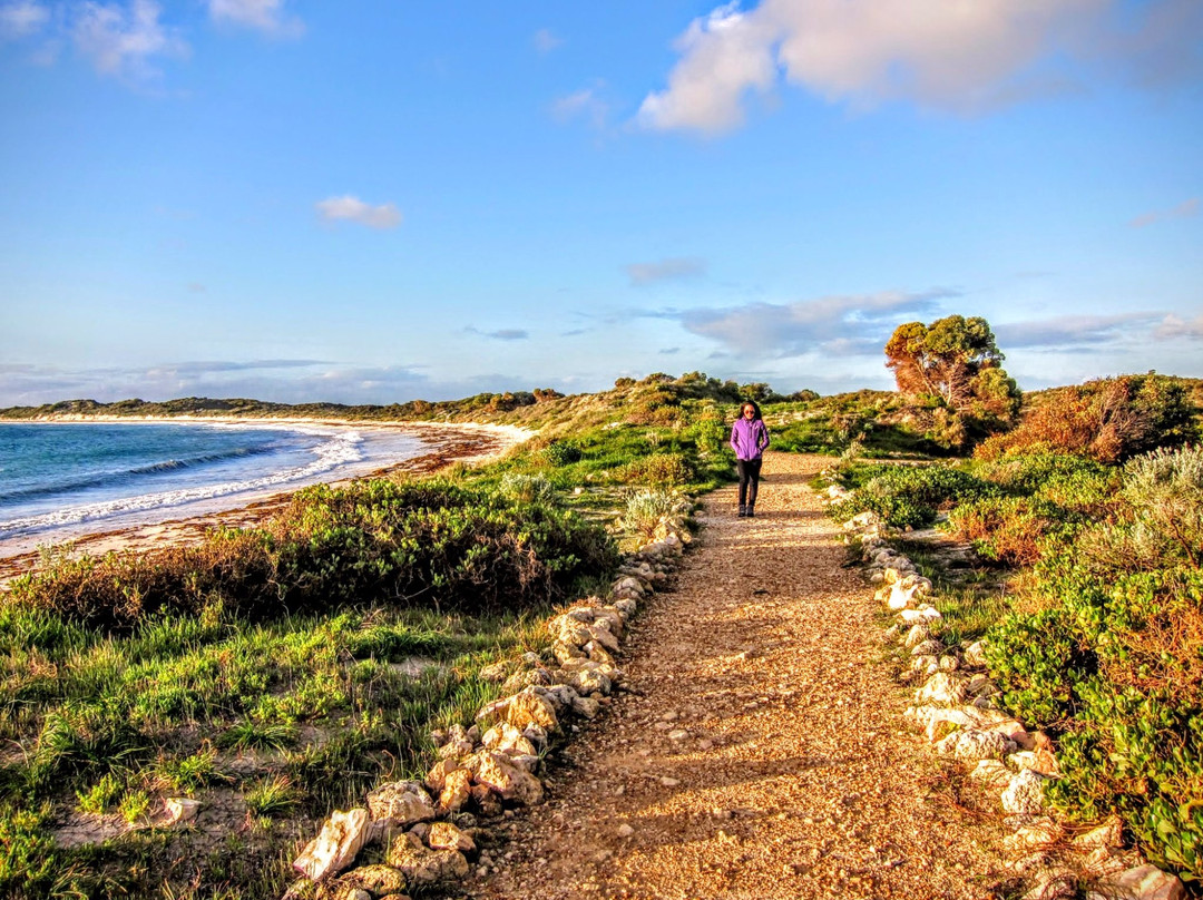 朱里恩湾旅游景点-Jurien Bay Marine Park