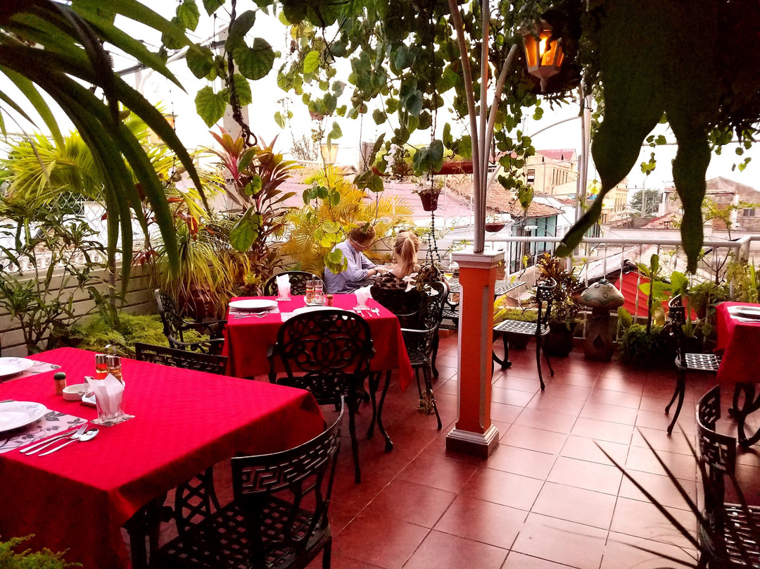 Roy's Terrace Inn