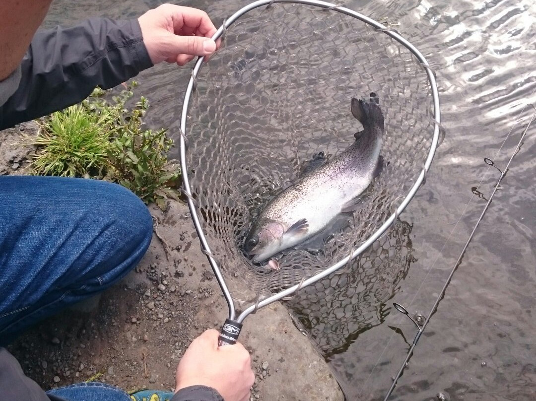 Susono Fishing Park-裾野市必去景点
