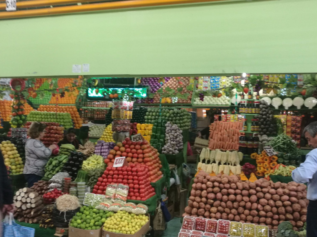 Terminal Agropecuario de Iquique - Region de Tarapaca-伊基克必去景点