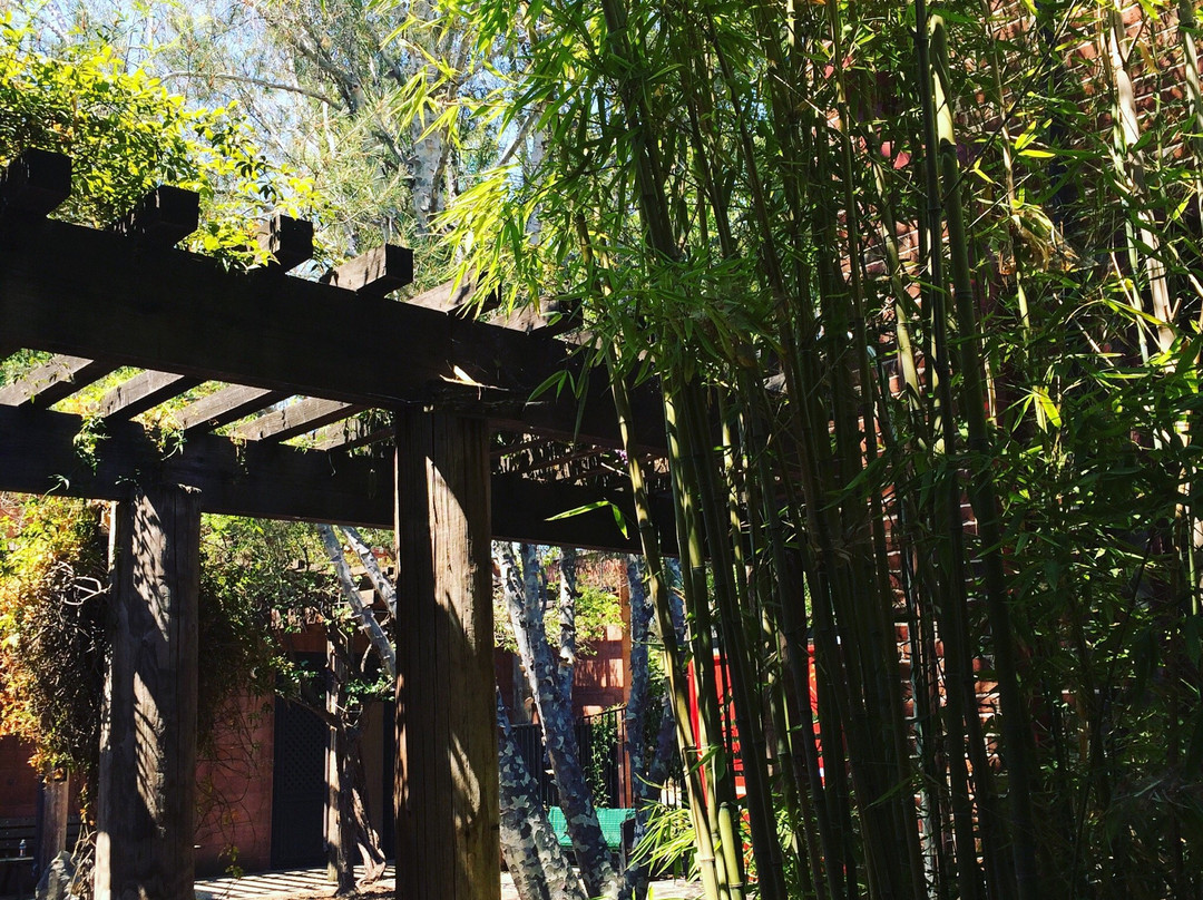 Chinese Temple景点图片