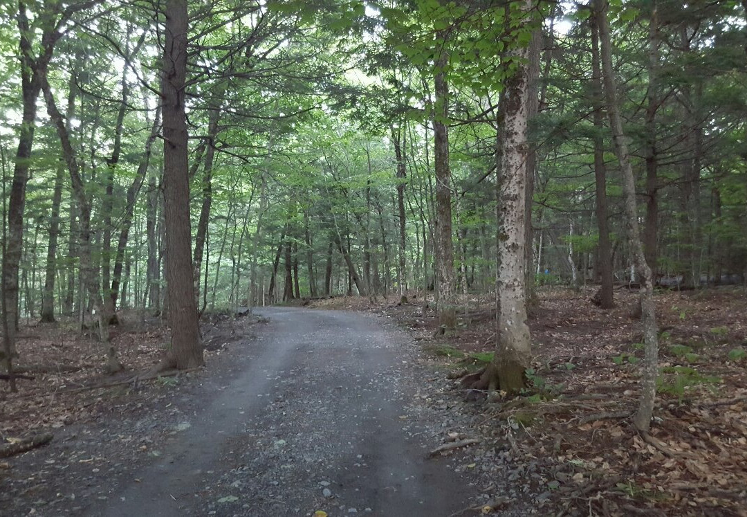 Odell Park-弗雷德里克顿必去景点
