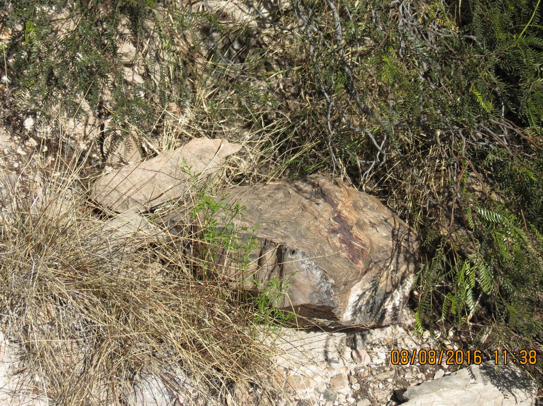 Parque Provincial El Chifon-拉里奥哈必去景点