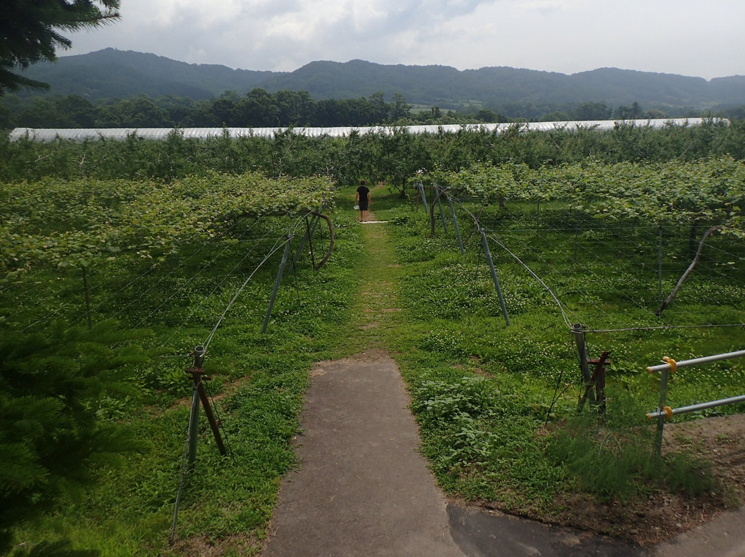 Hamada Marutome Fruits Gaden-壮瞥町必去景点