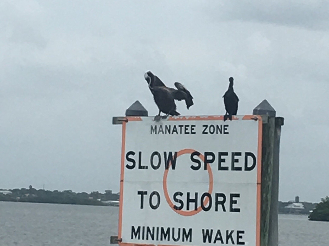 Neptune Boat Rentals-恩格尔伍德必去景点