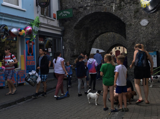 Bush Inn-腾比必去景点