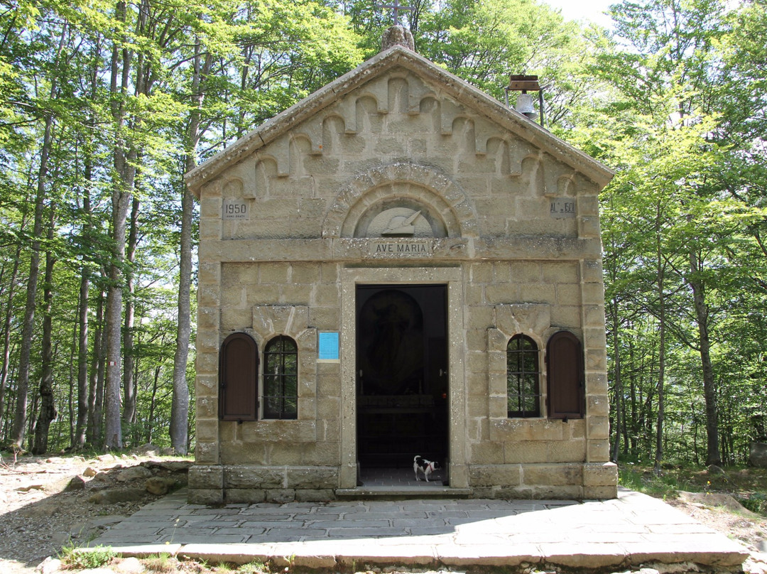 Chiesa Madonna del Lago景点图片