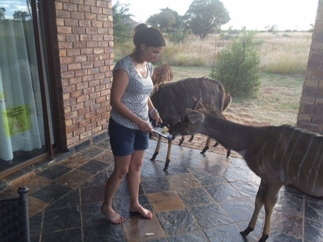Sondela Rehab Centre Bela Bela-贝拉贝拉必去景点