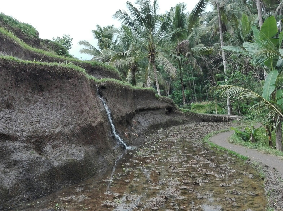 Bali Transport Tours-登巴萨必去景点