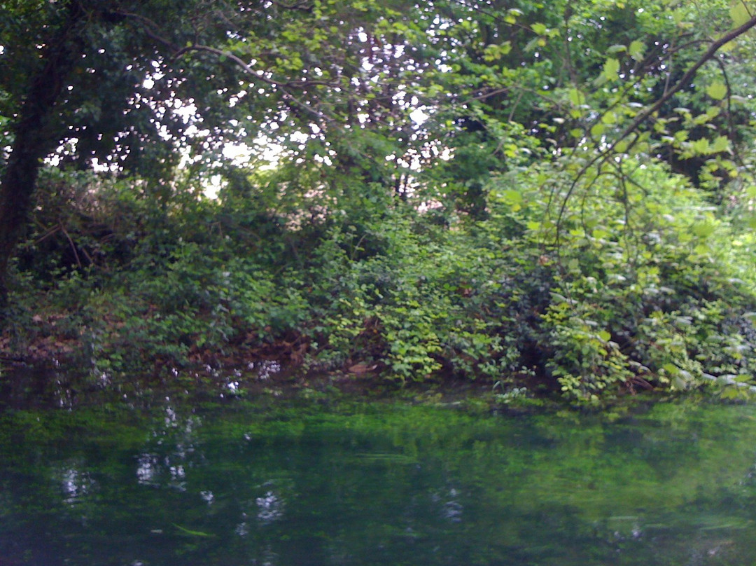 Parco delle Risorgive景点图片