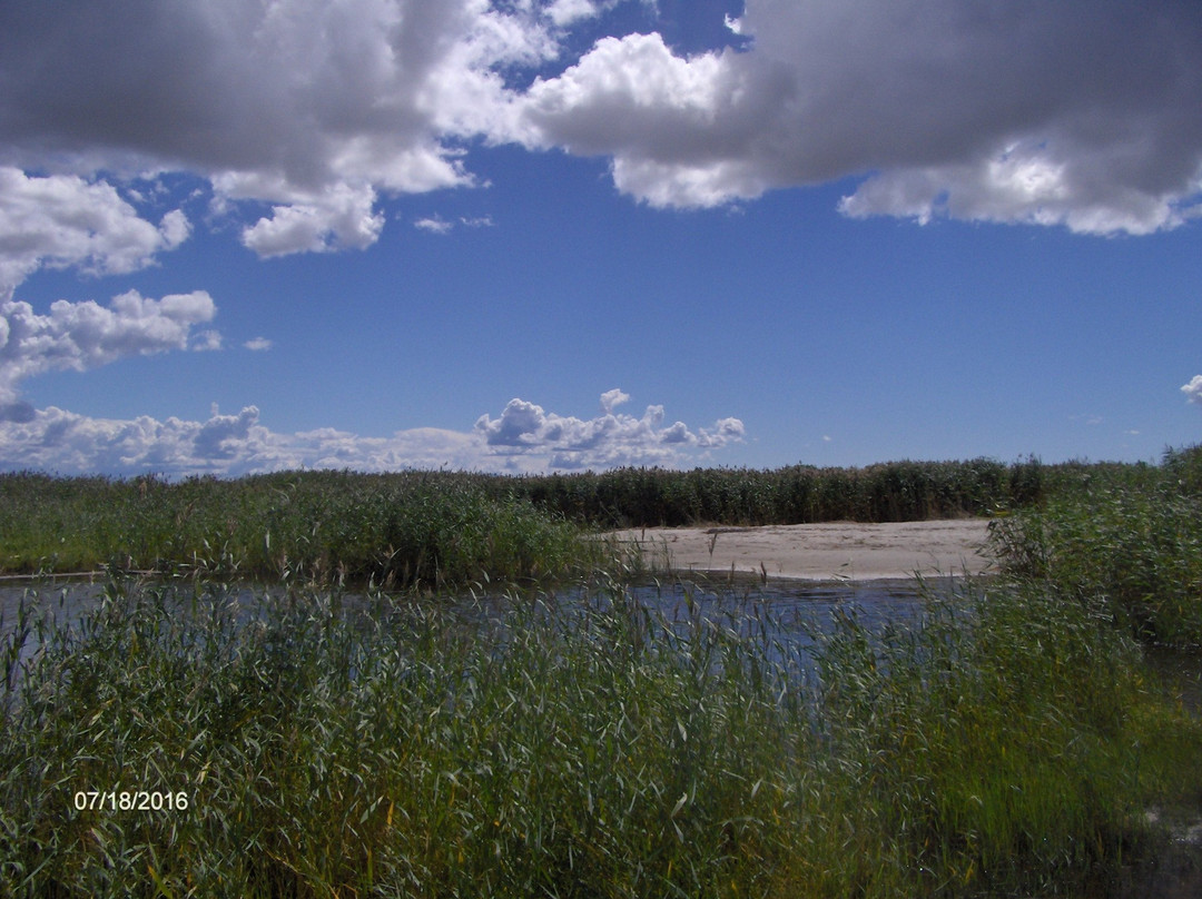 Parnu Coastal Meadow Protection Area景点图片