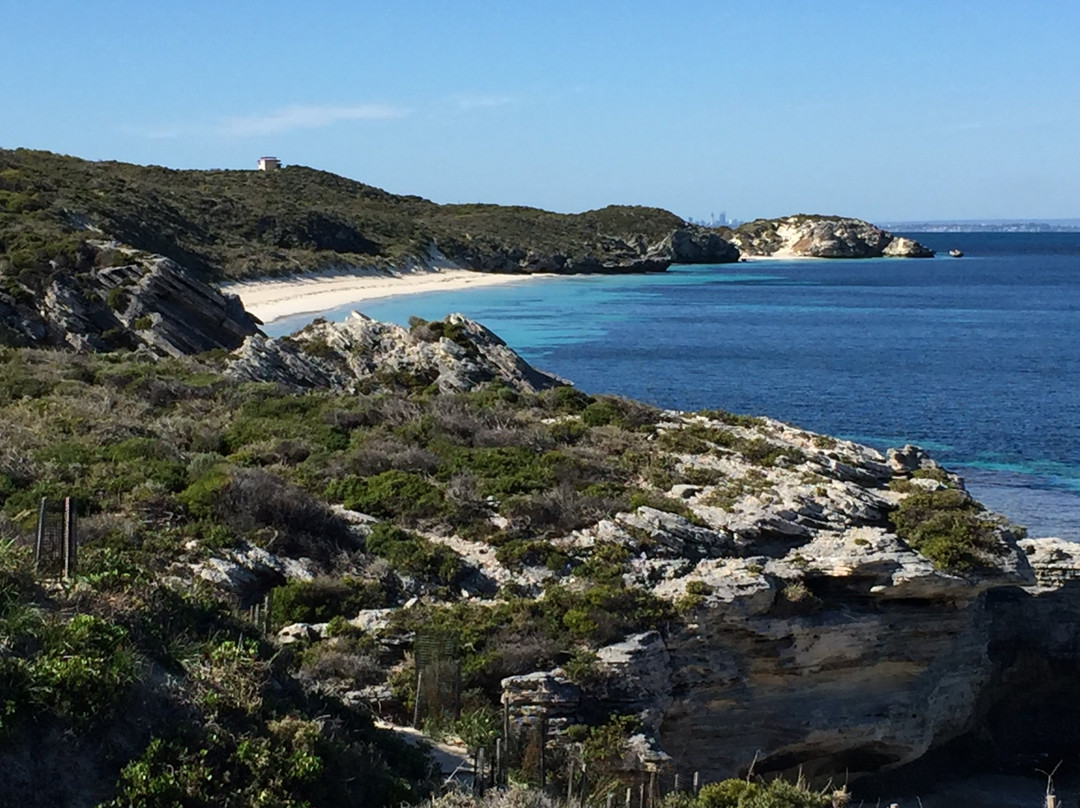 Rottnest Island Pedal and Flipper景点图片