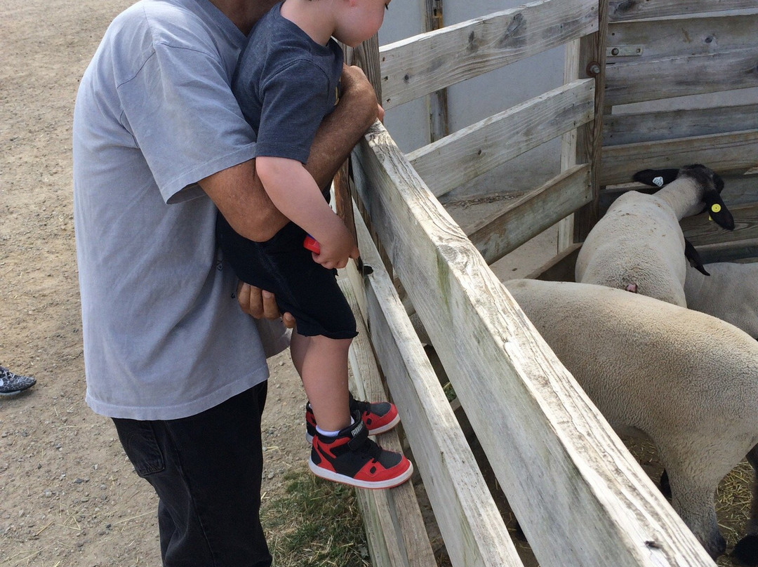 Historic Wagner Farm-格伦维尤必去景点