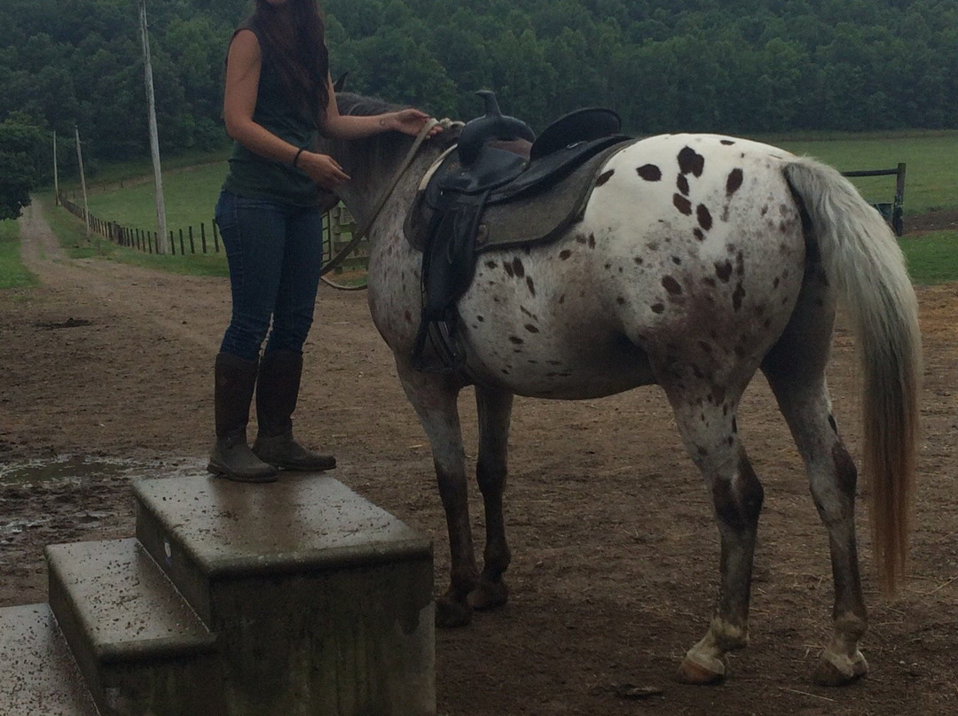 The Spotted Horse Ranch-Laurelville必去景点